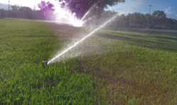 Irrigation Water Image